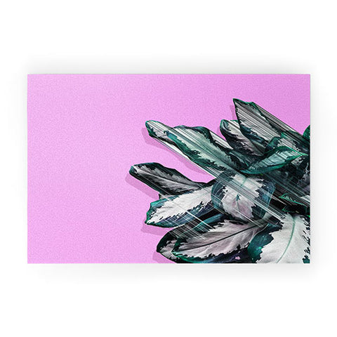 Adam Priester Plant Dynamics Welcome Mat