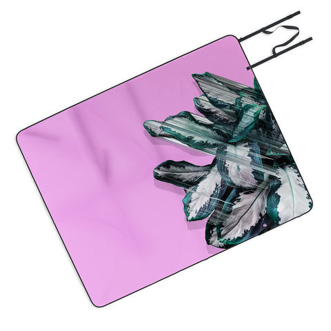 Adam Priester Plant Dynamics Picnic Blanket