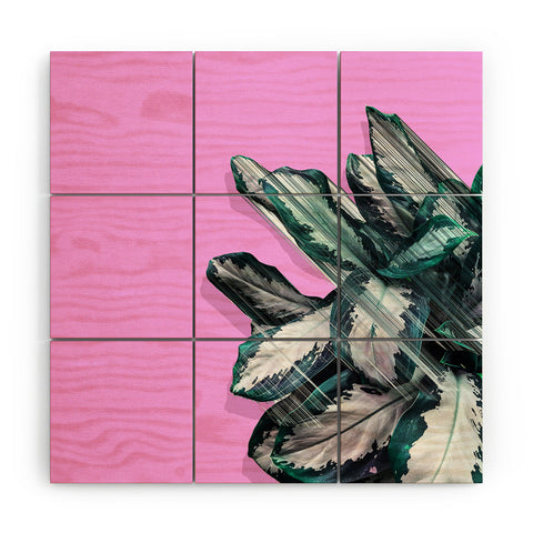 Adam Priester Plant Dynamics Wood Wall Mural