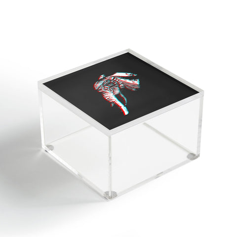 Adam Priester Spirit Elephant Acrylic Box