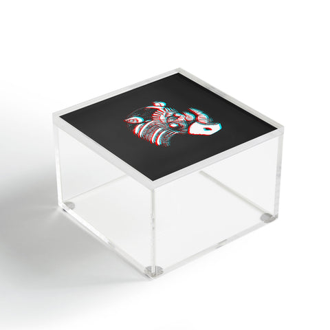 Adam Priester Spirit Rhino Acrylic Box