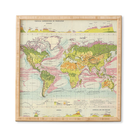 Adam Shaw World Map of Mother Nature Framed Wall Art