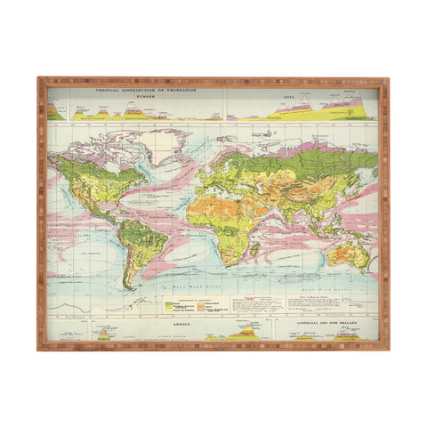 Adam Shaw World Map of Mother Nature Rectangular Tray