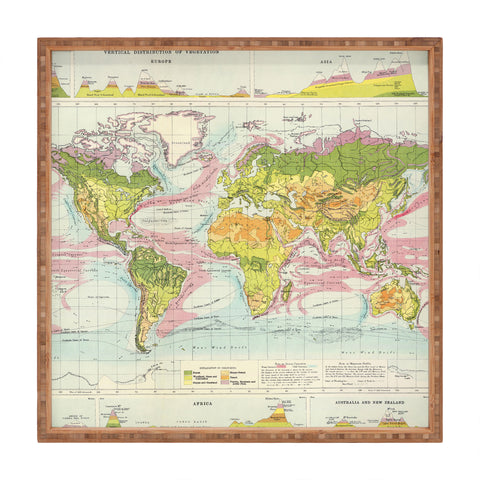 Adam Shaw World Map of Mother Nature Square Tray