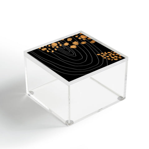 Aleeya Jones Black Gold Acrylic Box