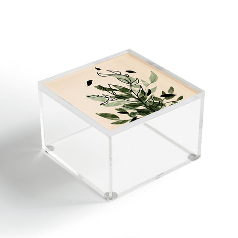 Aleeya Jones Green and black leaves Acrylic Box