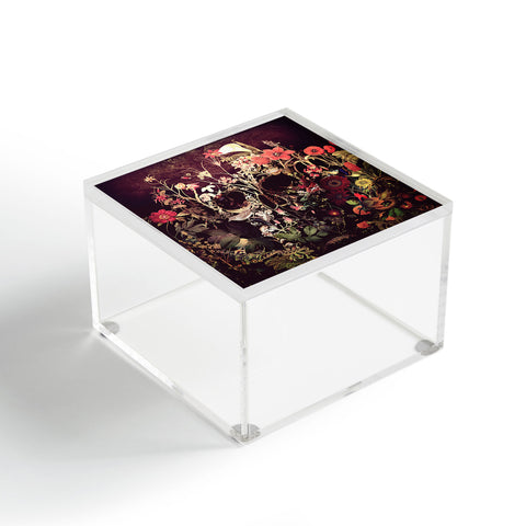 Ali Gulec Bloom Skull Acrylic Box