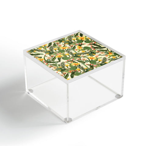 Ali Gulec Cactus Garden Acrylic Box