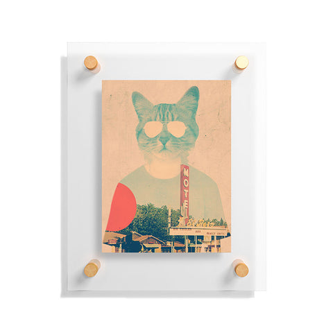 Ali Gulec Cool Cat Floating Acrylic Print