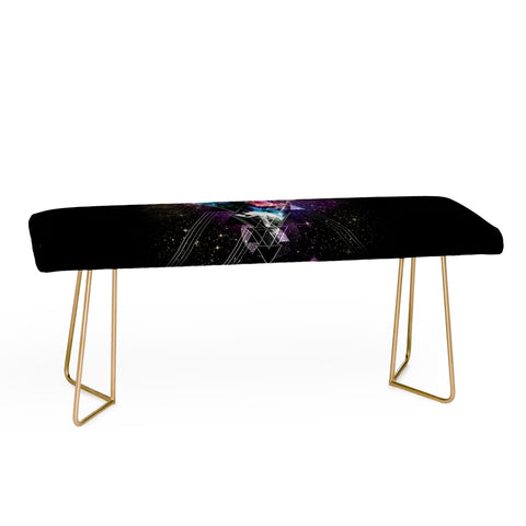 Ali Gulec Cosmic Tiger Bench