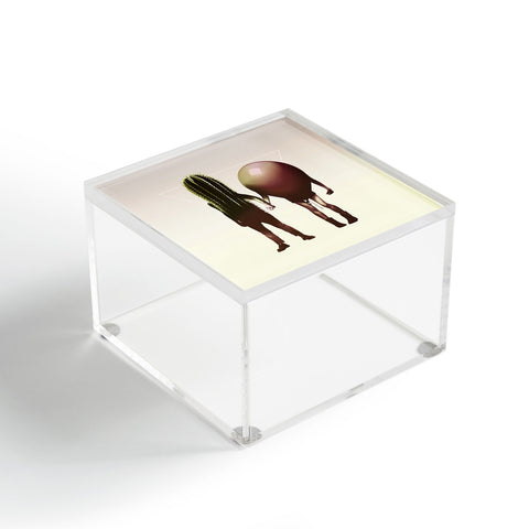 Ali Gulec Couple Hori Acrylic Box