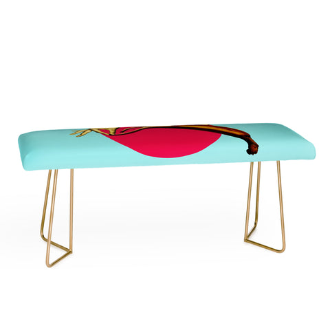 Ali Gulec El Banana Bench