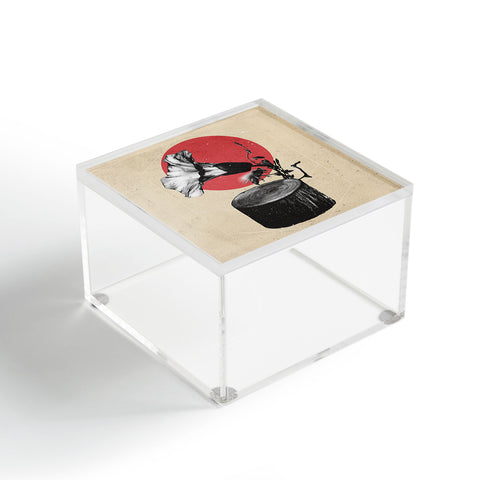 Ali Gulec Gramophone Acrylic Box