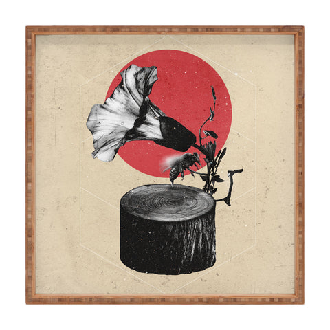 Ali Gulec Gramophone Square Tray
