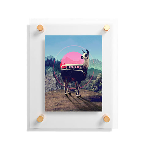 Ali Gulec Llama Van Floating Acrylic Print