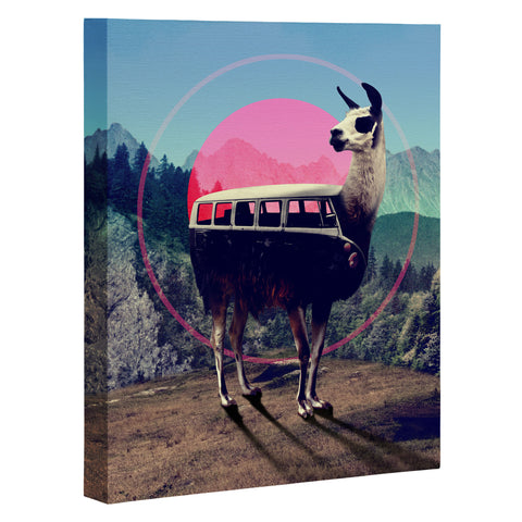 Ali Gulec Llama Van Art Canvas