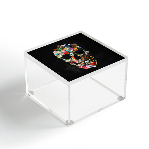 Ali Gulec New Fragile Skull Acrylic Box