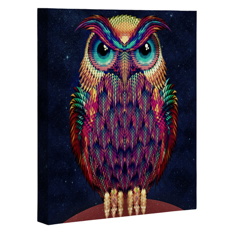 Ali Gulec Owl 2 Art Canvas