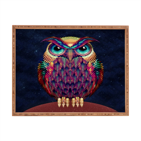 Ali Gulec Owl 2 Rectangular Tray