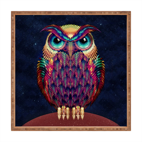 Ali Gulec Owl 2 Square Tray