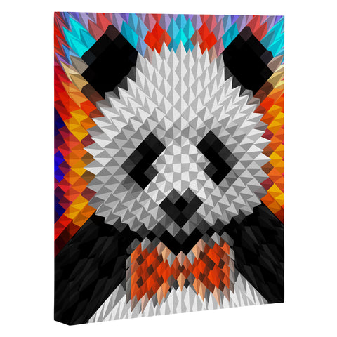 Ali Gulec Panda 1 Art Canvas