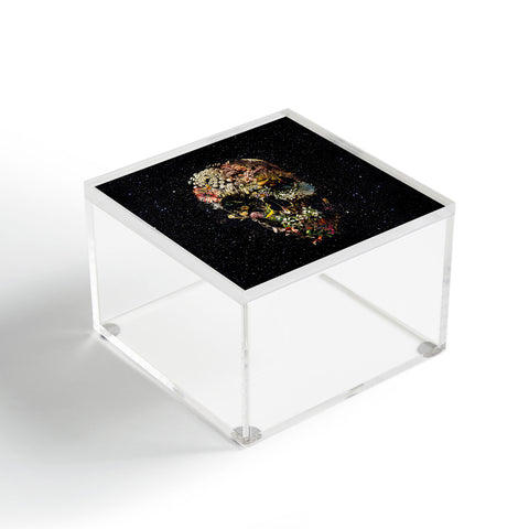 Ali Gulec Smyrna Skull Acrylic Box