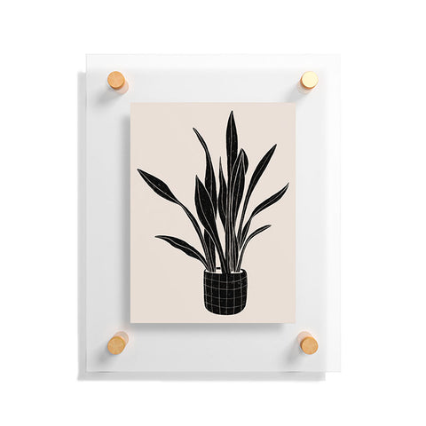 Alisa Galitsyna Black and White Snake Plant Floating Acrylic Print