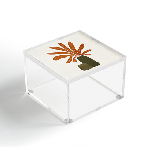 Alisa Galitsyna Two Green Vases Orange Plant Acrylic Box