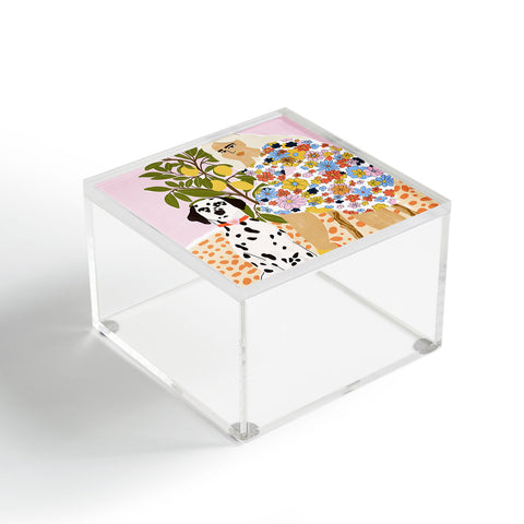 Alja Horvat Chaotic Life Acrylic Box