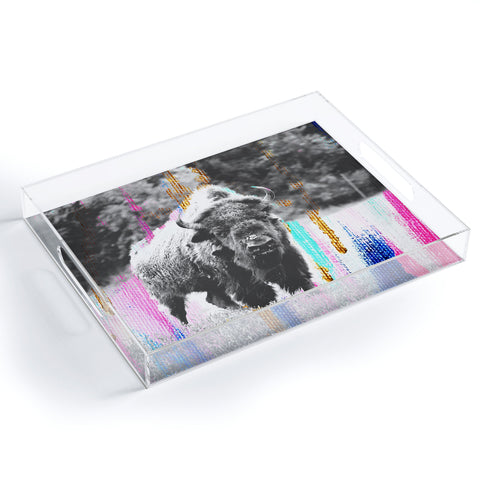 Allyson Johnson Buffalo Abstract Mixed Media Acrylic Tray