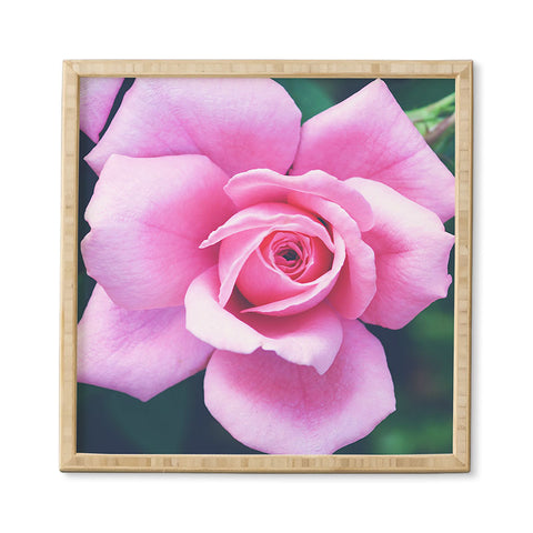 Allyson Johnson Darling Pink Rose Framed Wall Art