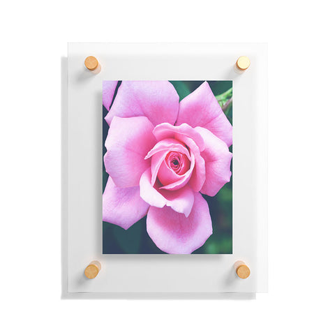 Allyson Johnson Darling Pink Rose Floating Acrylic Print