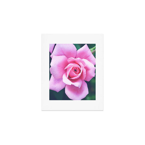 Allyson Johnson Darling Pink Rose Art Print