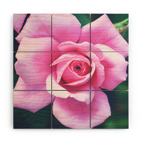 Allyson Johnson Darling Pink Rose Wood Wall Mural