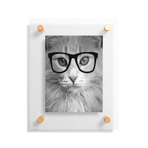 Allyson Johnson Hippest Cat Floating Acrylic Print