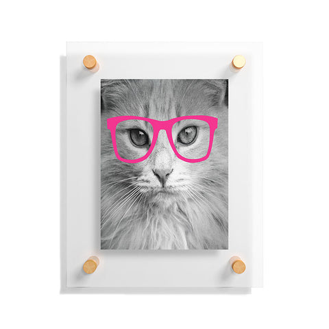 Allyson Johnson Hippest Cat Pink Floating Acrylic Print