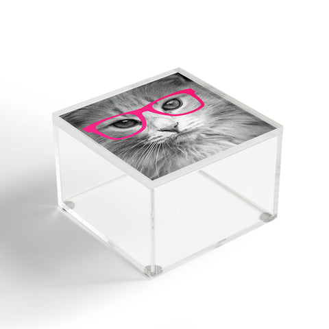 Allyson Johnson Hippest Cat Pink Acrylic Box