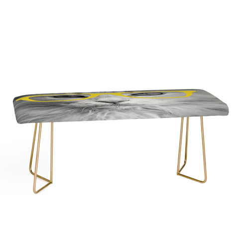 Allyson Johnson Hippest Cat Yellow Bench