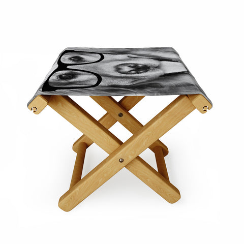 Allyson Johnson Hippest Dog Folding Stool