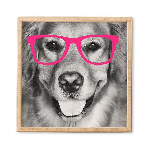 Allyson Johnson Hippest dog pink Framed Wall Art
