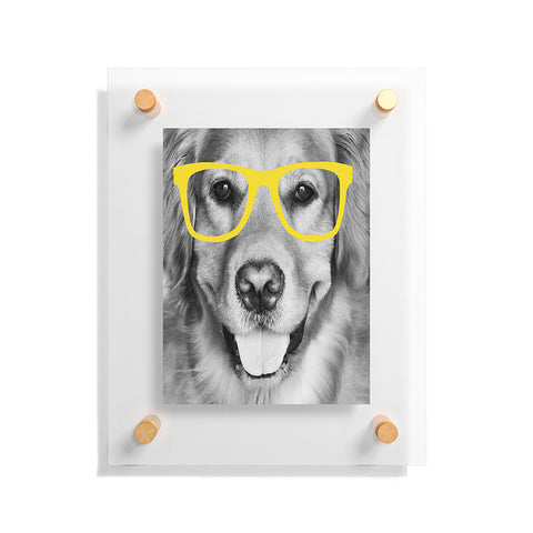 Allyson Johnson Hippest Dog Yellow Floating Acrylic Print