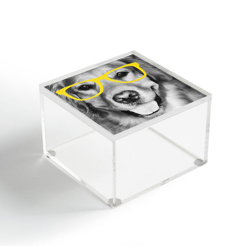 Allyson Johnson Hippest Dog Yellow Acrylic Box