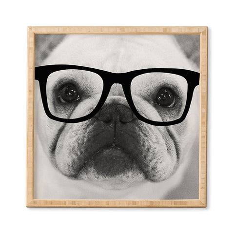 Allyson Johnson Hippest Frenchie Framed Wall Art