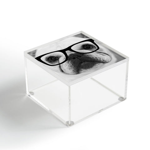 Allyson Johnson Hippest Frenchie Acrylic Box