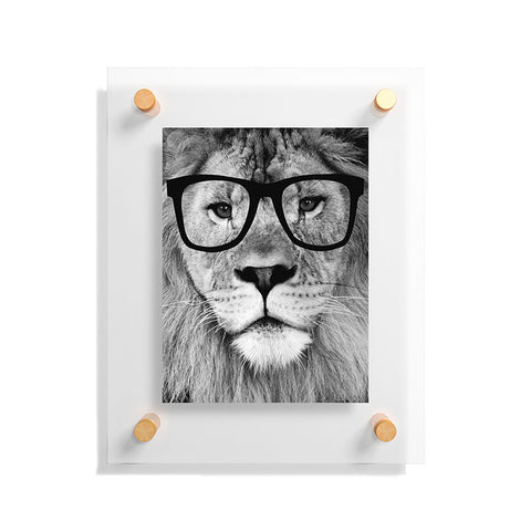 Allyson Johnson Hippest Lion Floating Acrylic Print