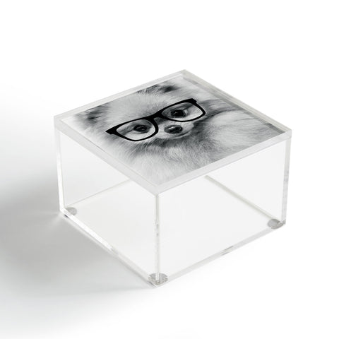 Allyson Johnson Hippest Pomeranian Acrylic Box