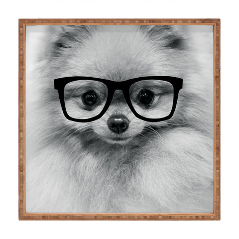 Allyson Johnson Hippest Pomeranian Square Tray