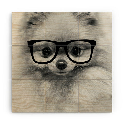 Allyson Johnson Hippest Pomeranian Wood Wall Mural