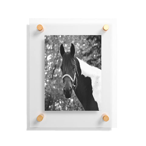 Allyson Johnson Horse Portrait Floating Acrylic Print
