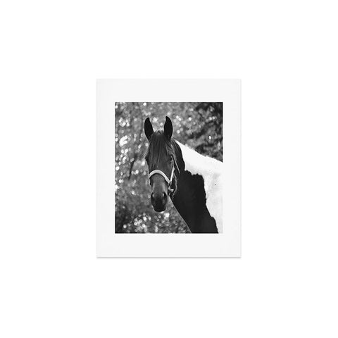 Allyson Johnson Horse Portrait Art Print